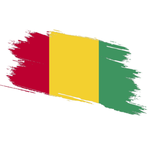 Guinea Child Travel Consent Guinea Last Will and Testament Guinea Contract Certification Guinea Affidavit Guinea Certified True Copy Guinea Certified Proof of Address Guinea Guinea Certified Ownership Structure Chart Power of attorney Super Legalisation Guinea