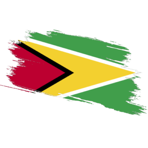 Guyana Child Travel Consent Guyana Last Will and Testament Guyana Contract Certification Guyana Affidavit Guyana Certified True Copy Guyana Certified Proof of Address Guyana Guyana Certified Ownership Structure Chart Power of Attorney and Apostille Guyana